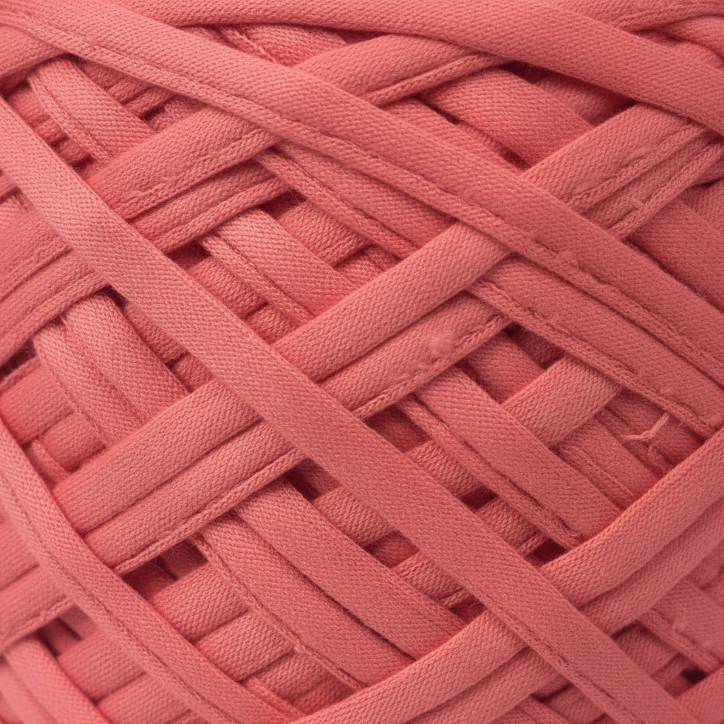 Close-up – Coral